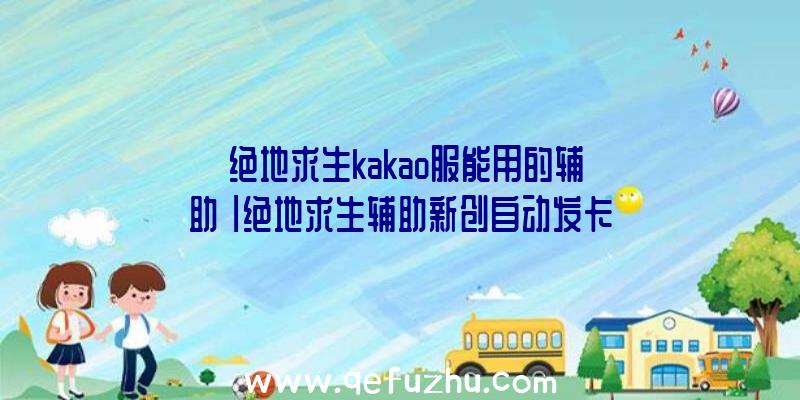 「绝地求生kakao服能用的辅助」|绝地求生辅助新创自动发卡